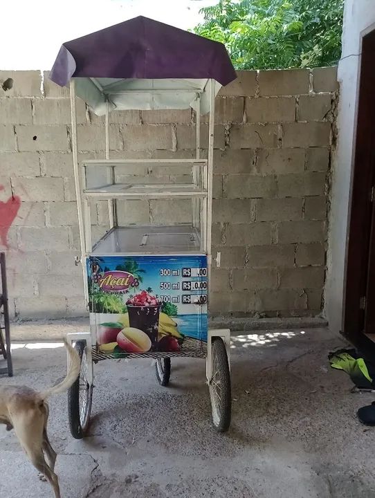 Carrinho de açaí  - Foto 6