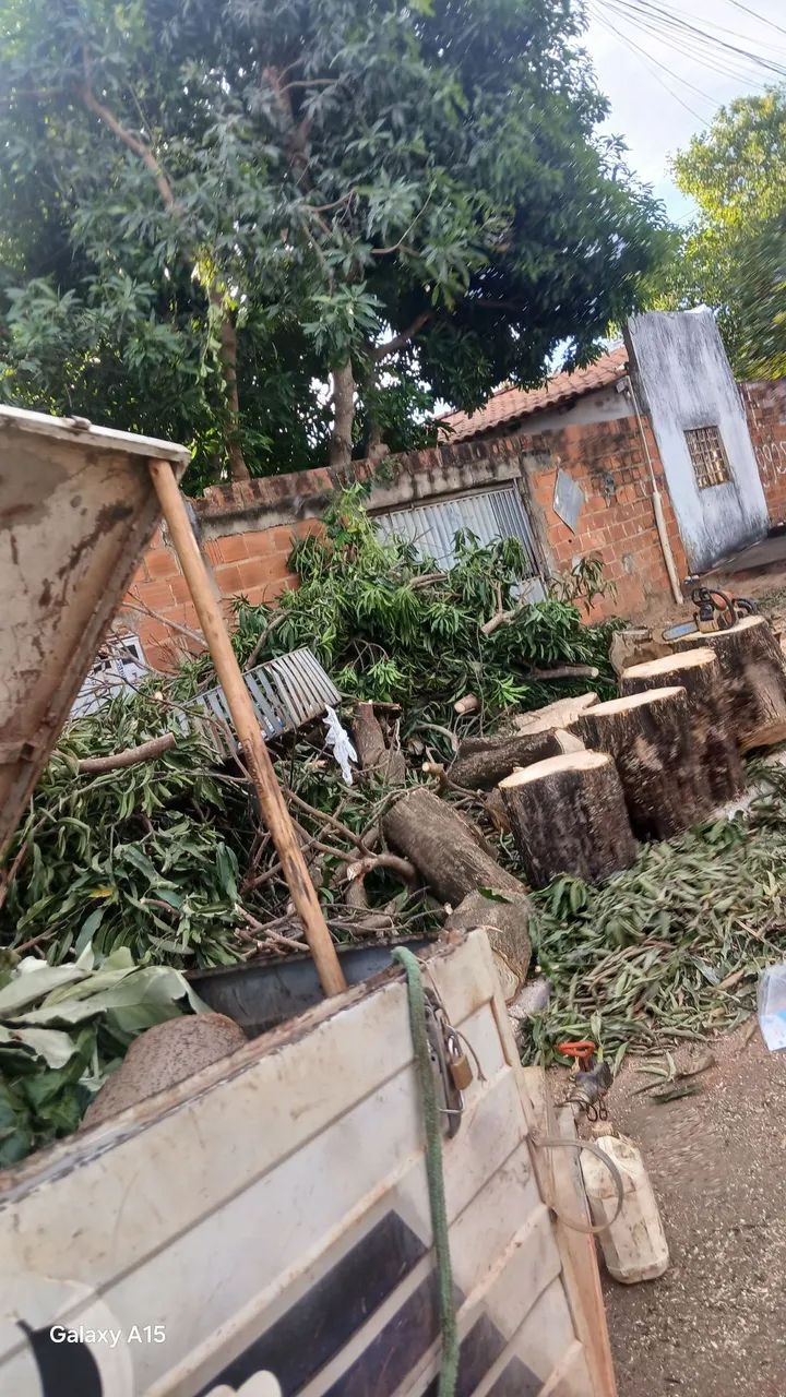 Podar de árvores e limpeza em geral  - Foto 4