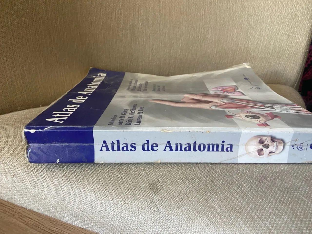 Atlas de Anatomia - Livro de Anatomia Humana - Foto 2