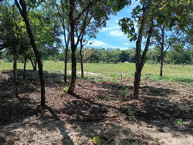 Bela área na saída para SP, 10.000 m²