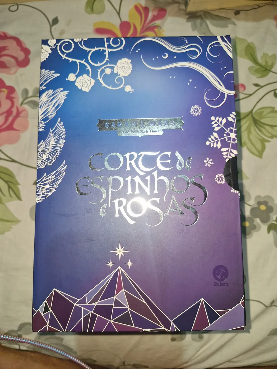 Corte de Espinhos e Rosas - Livro completo