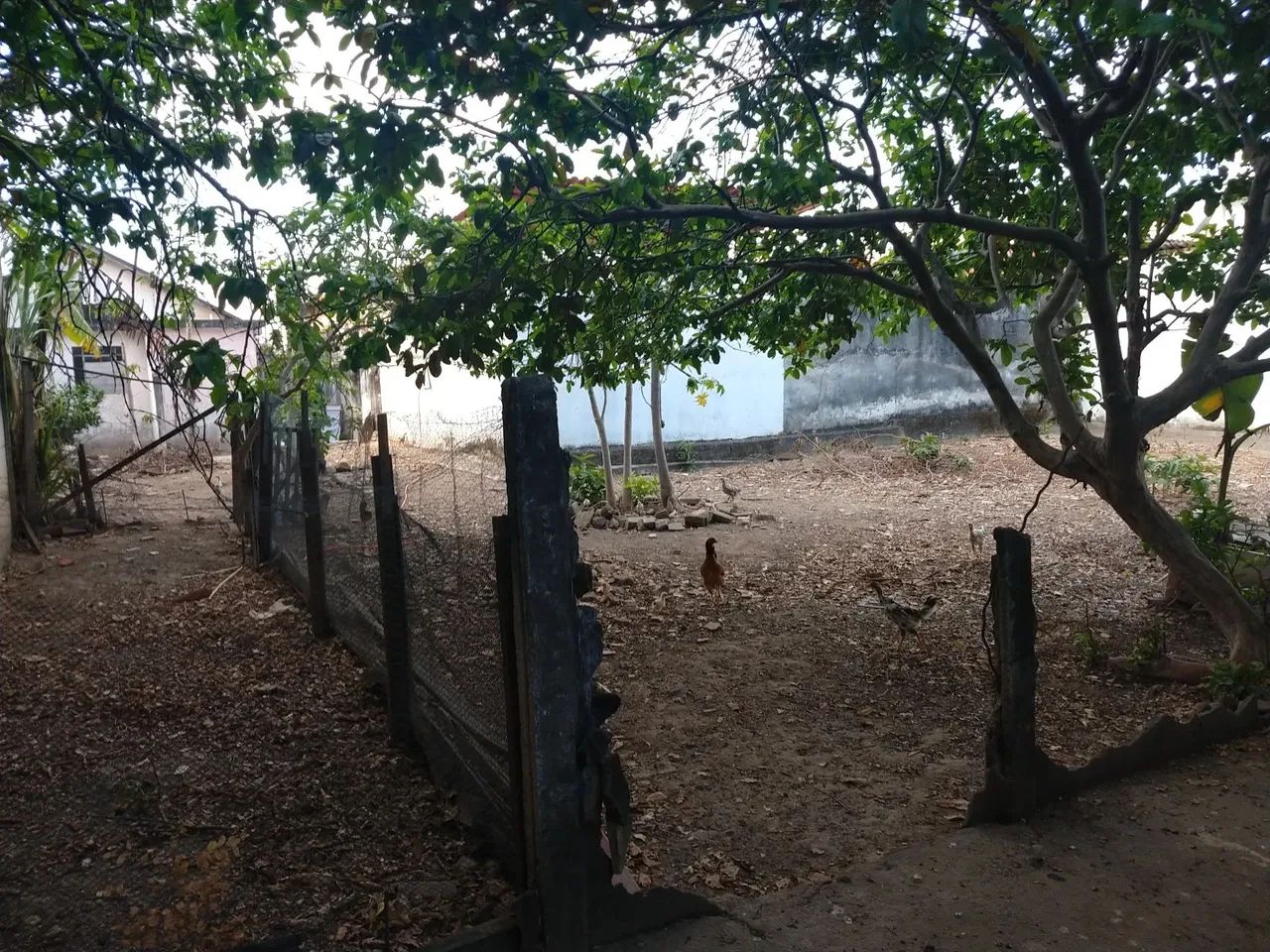 Lote - Terreno à venda, Santa Efigênia - Belo Horizonte/MG - Foto 12