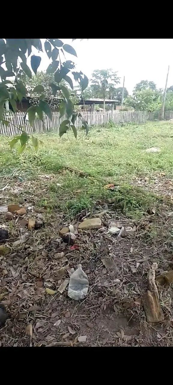 terreno 24 de frente e fundo 25 de lateral esquerdo e direito valor 25 ml valor negociavel