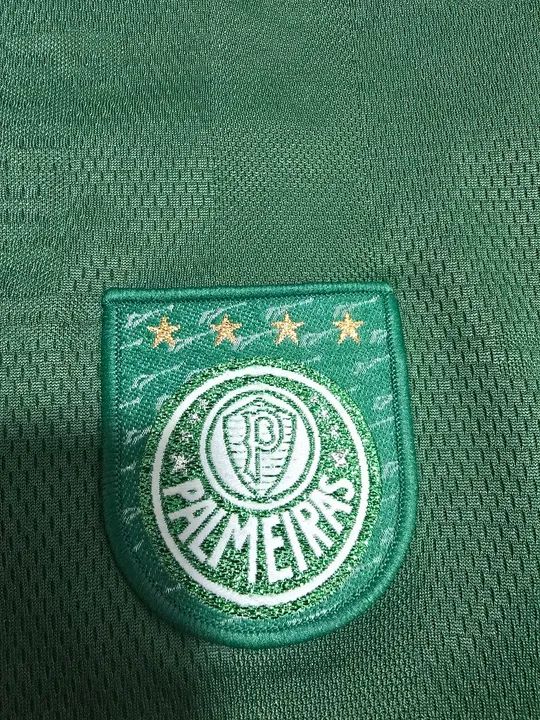 Camisa Palmeiras - Verde - M ou G