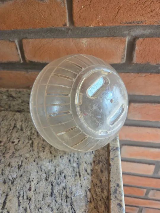 Bola de Hamster Transparente