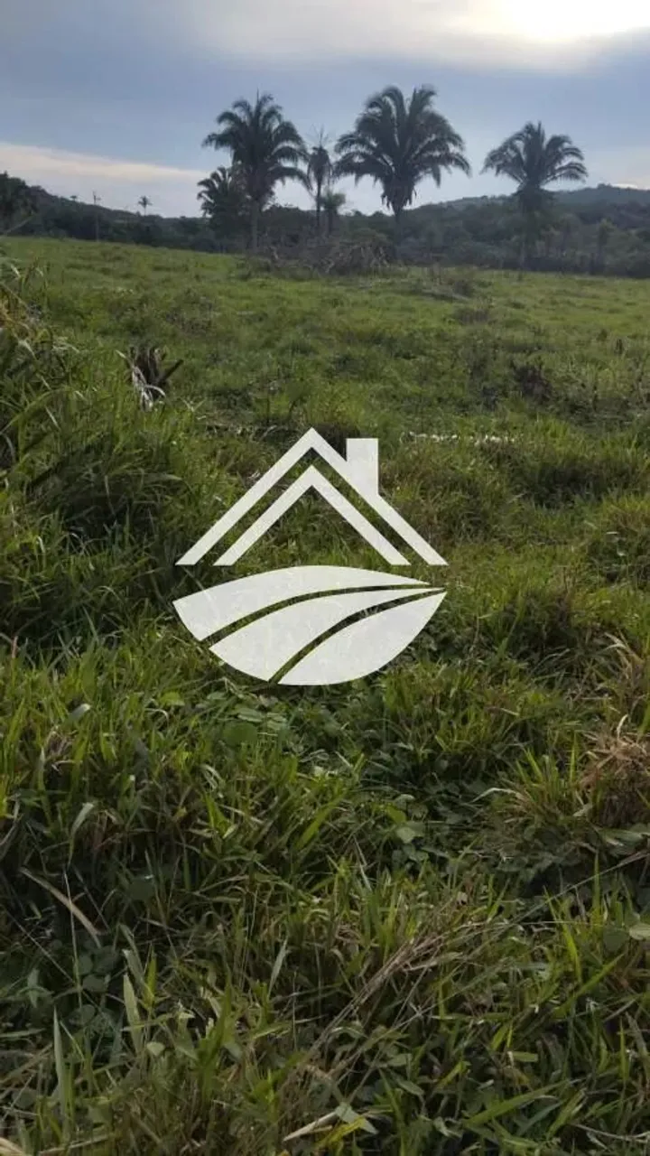 Fazenda para Venda em Colméia, Área rural com expansão consolidada