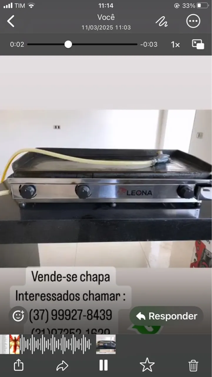 Chapa de lanchonete LEONA