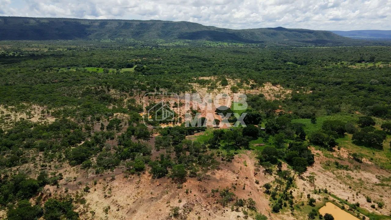 Fazenda Buritis 333,65 Ha Investimento Muita Água - Foto 2