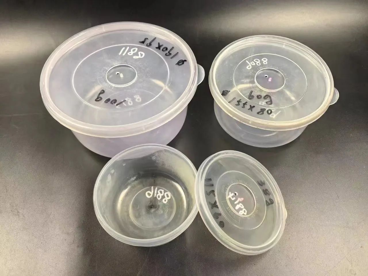 Moldes usados - Potes Plásticos Redondos/Quadrada com Tampa