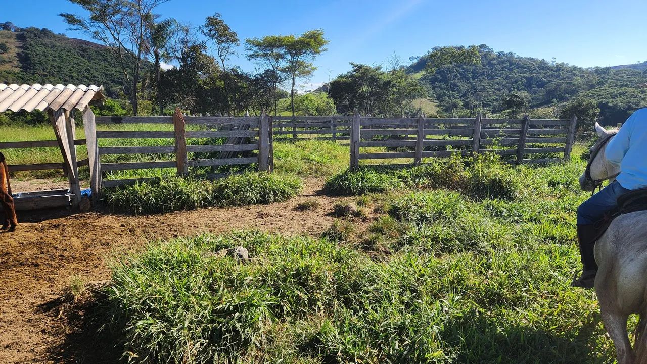 Terreno com pastagem formada Bonfim/MG - Foto 3