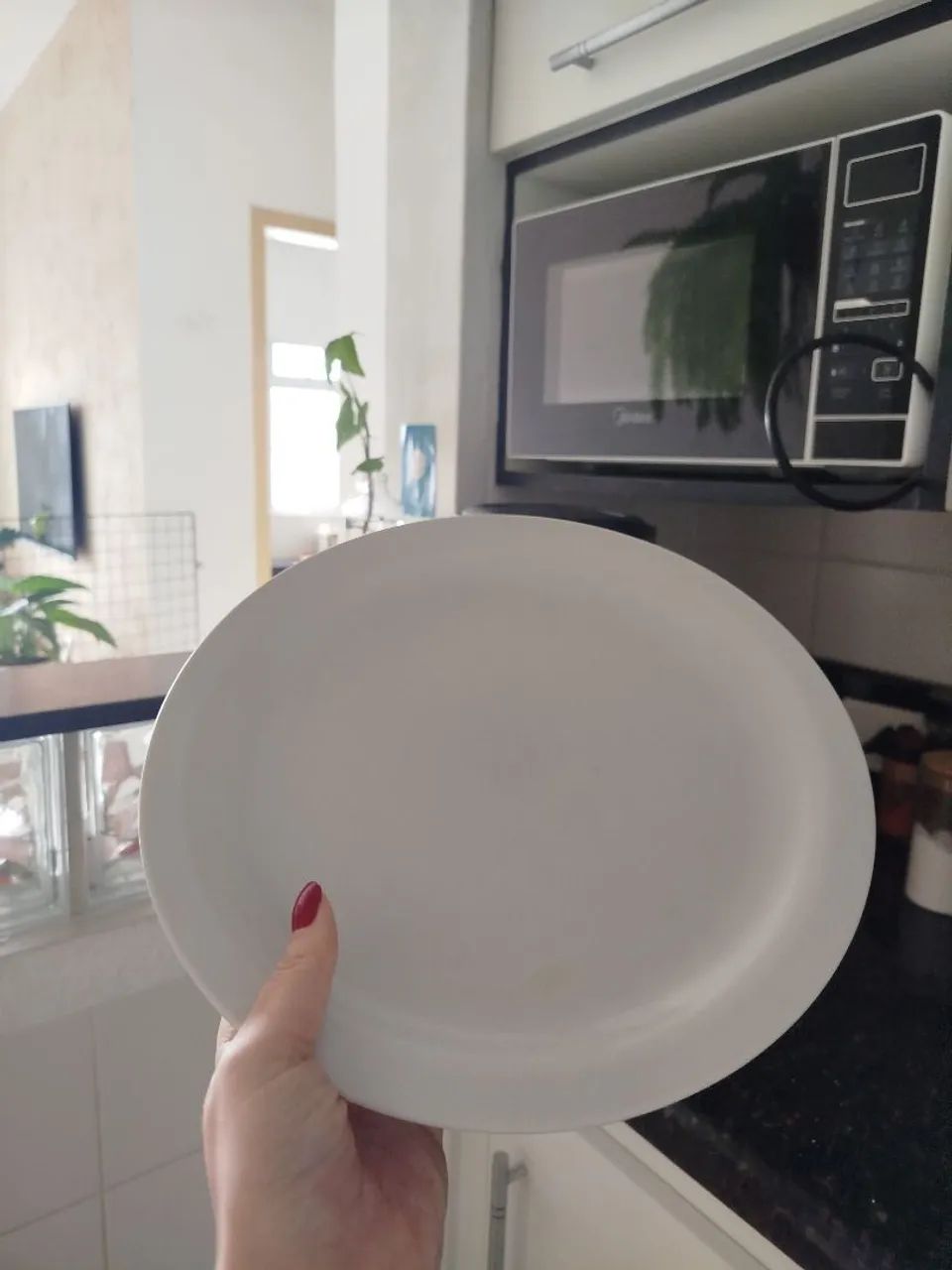Pratos de restaurante 