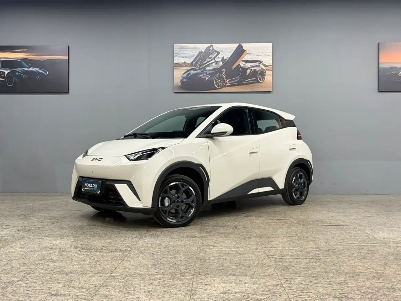 BYD Dolphin Mini (Elétrico) 2027