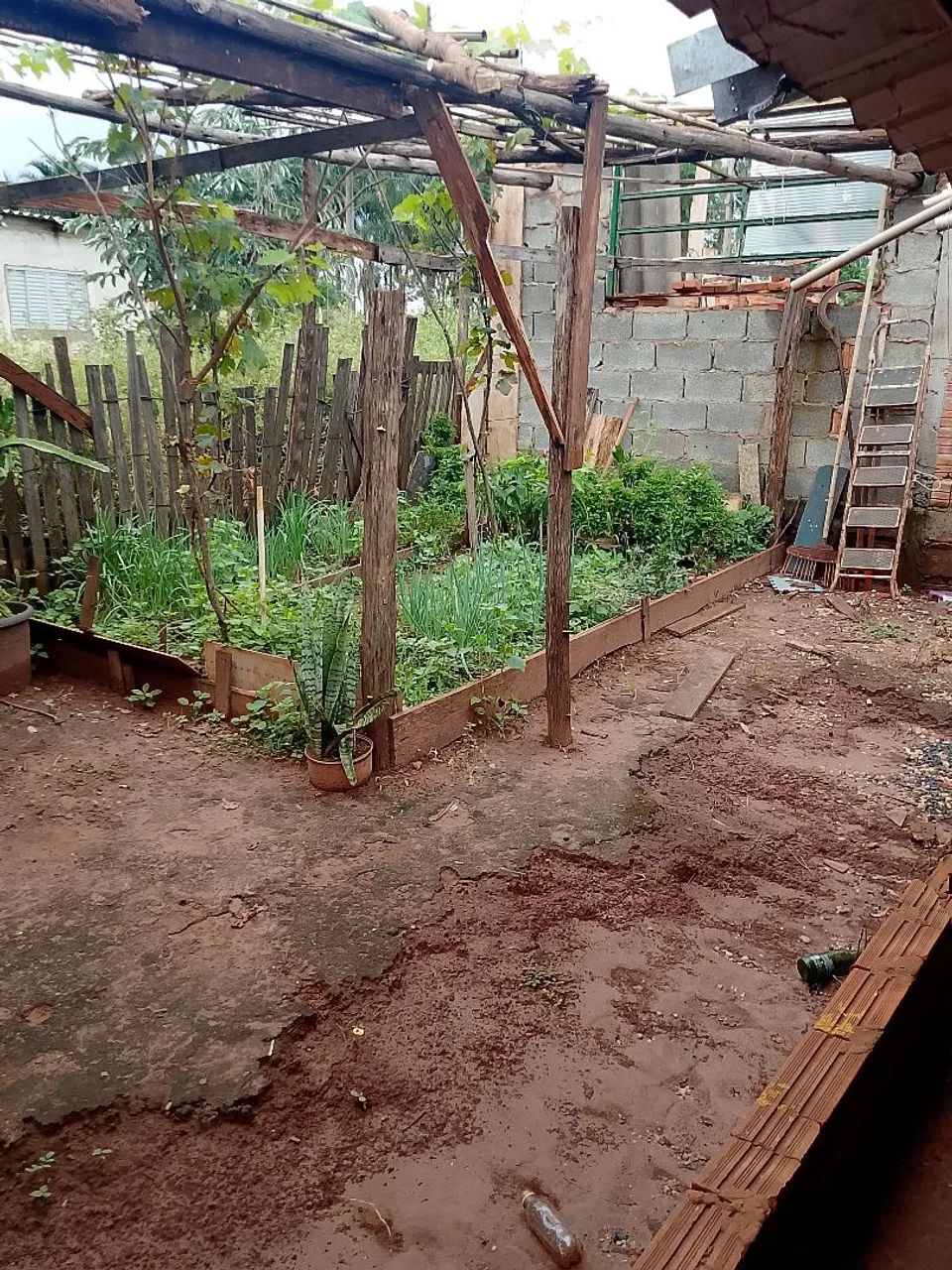 Foto - Ribeirão Preto - Parque Ribeirão Preto
