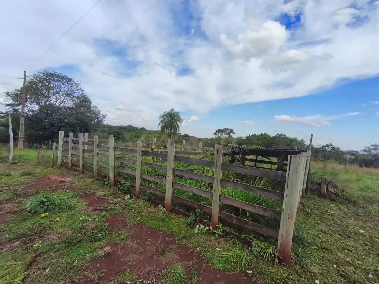 CÓD 593  Chácara à Venda | Sidrolândia /MS - Foto 5