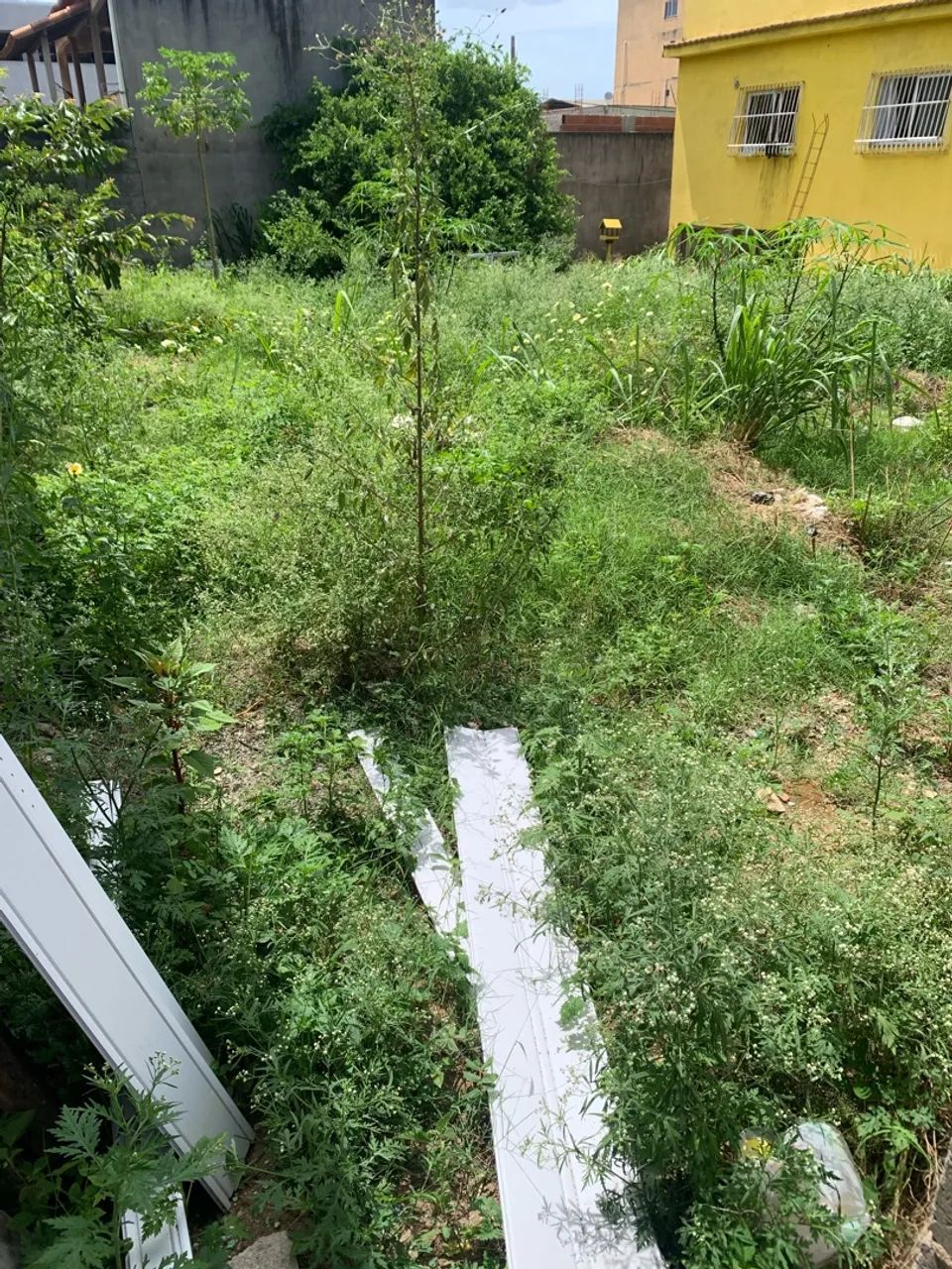 lote em ótima localização  - Foto 3
