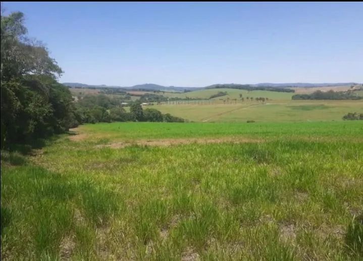 terreno - Caminho das águas - Tuiuti - Foto 5