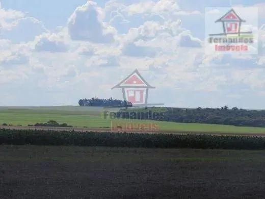 Fazenda à venda, 2.100 HA - Dourados/MS - Foto 4
