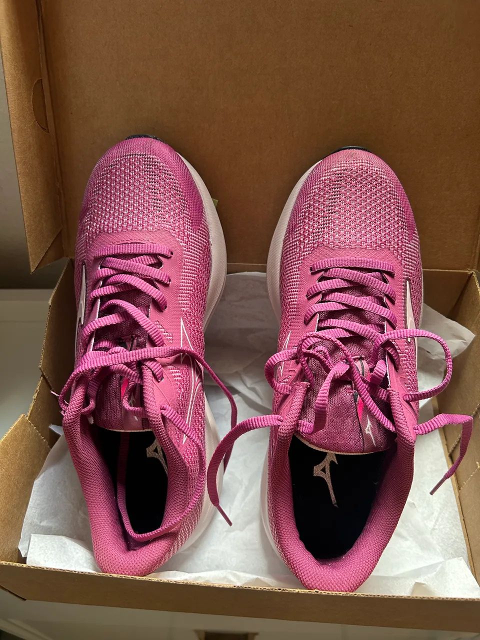 Sapato Mizuno 