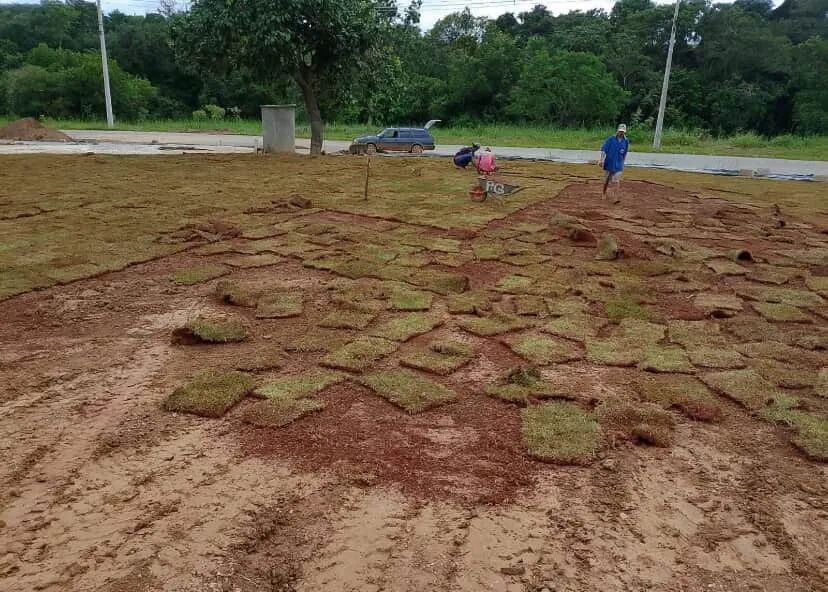 Grama de qualidade  - Foto 3