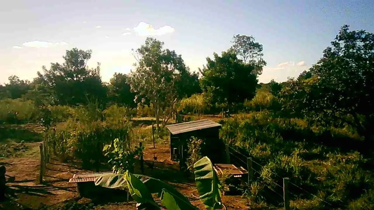 Sítio  - Foto 3