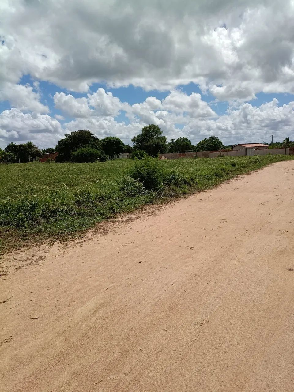 Sítio no Povoado das 3 Estradas. Serrinha. - Foto 3