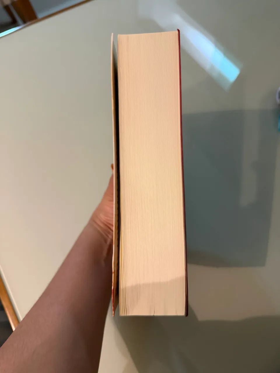 ? DESAPEGO: Cidade da Lua Crescente (Casa de Terra e Sangue) - Sarah J. Maas ? - Foto 4