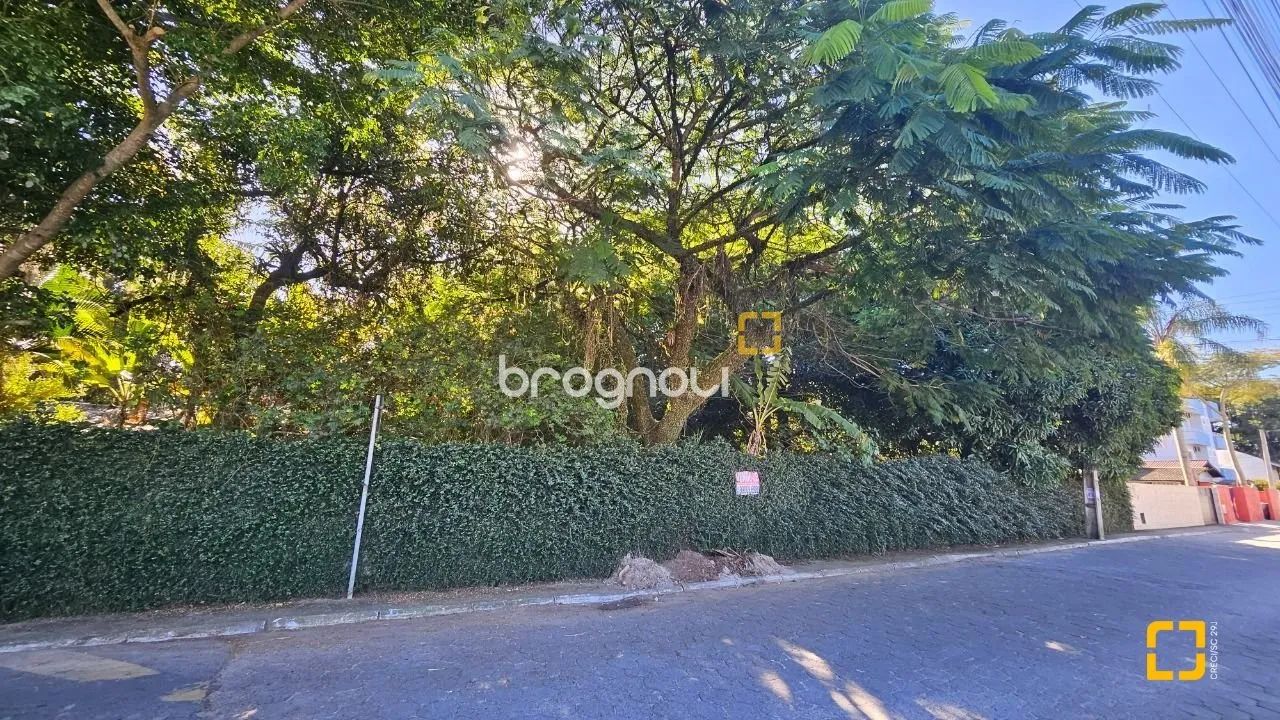 Terreno à venda em Canasvieiras - Foto 3