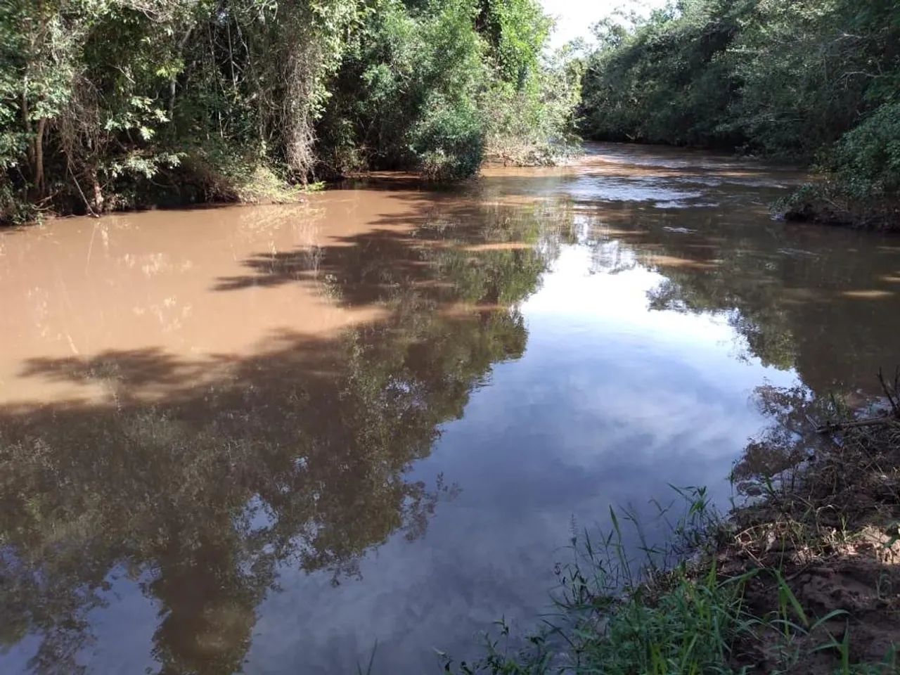 Fazenda 90 % permuta Mato Grosso 