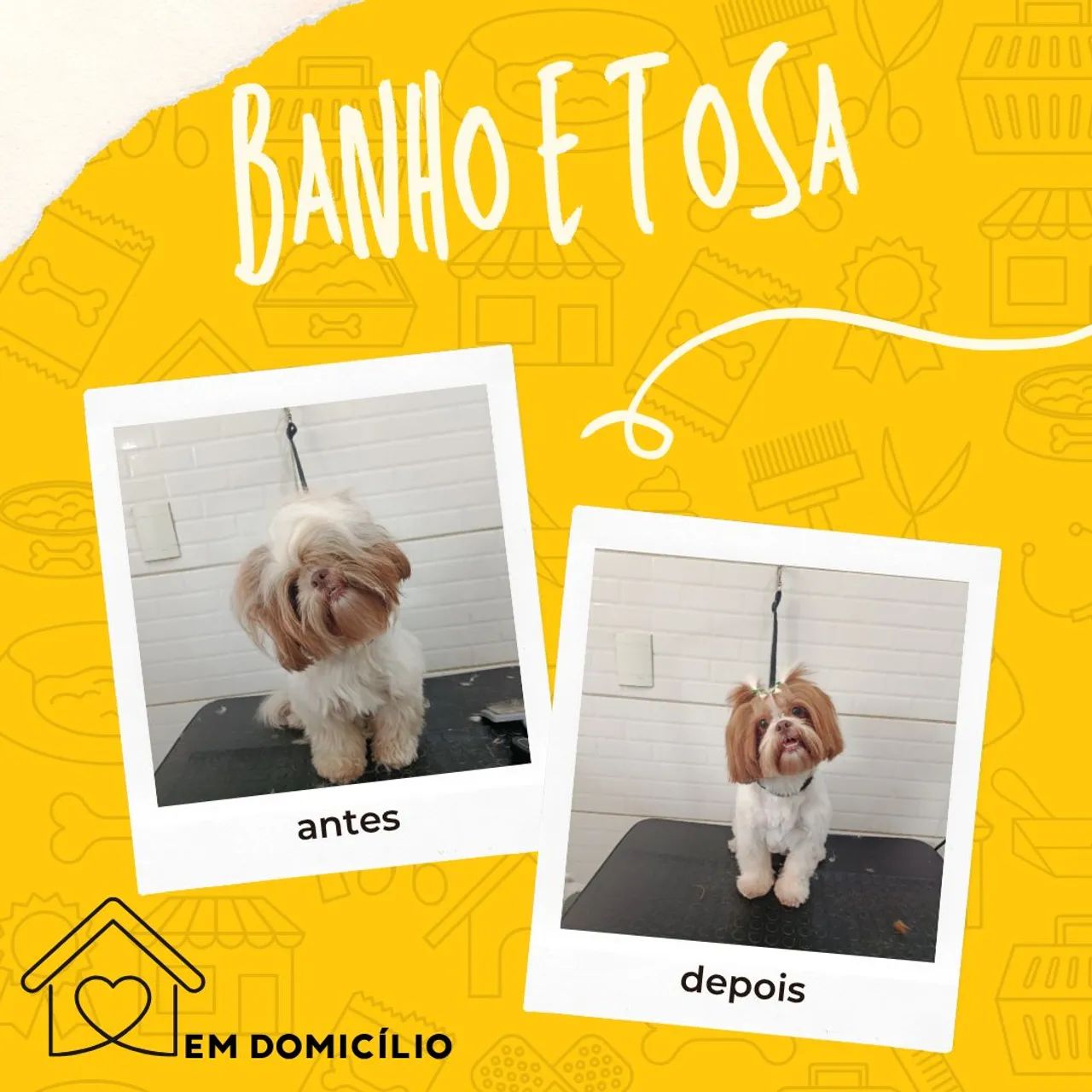 Banho e tosa em domicílio  - Foto 2
