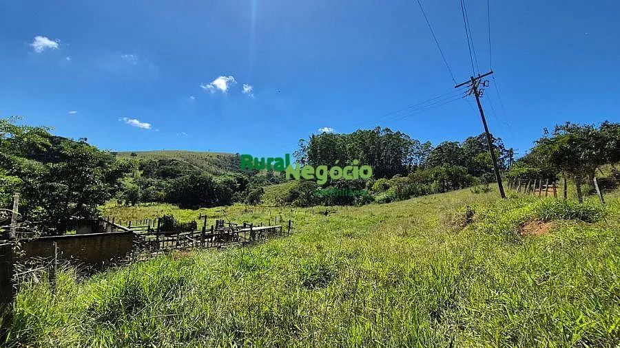 SÍTIO FORMADO COM FÁCIL ACESSO EM LAGOINHA-SP - Foto 3