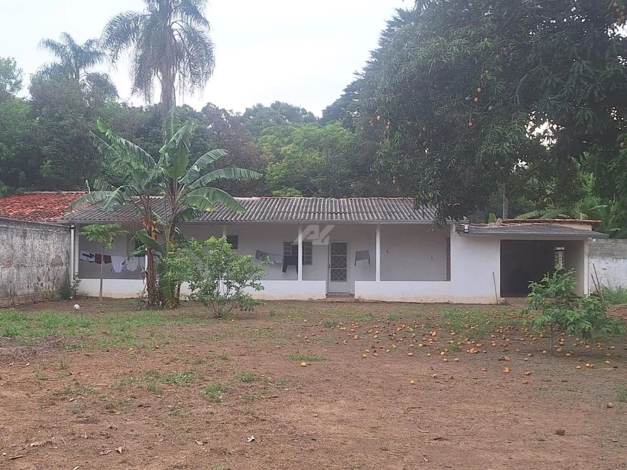 chácara - Vila Hollândia - Campinas - Foto 2