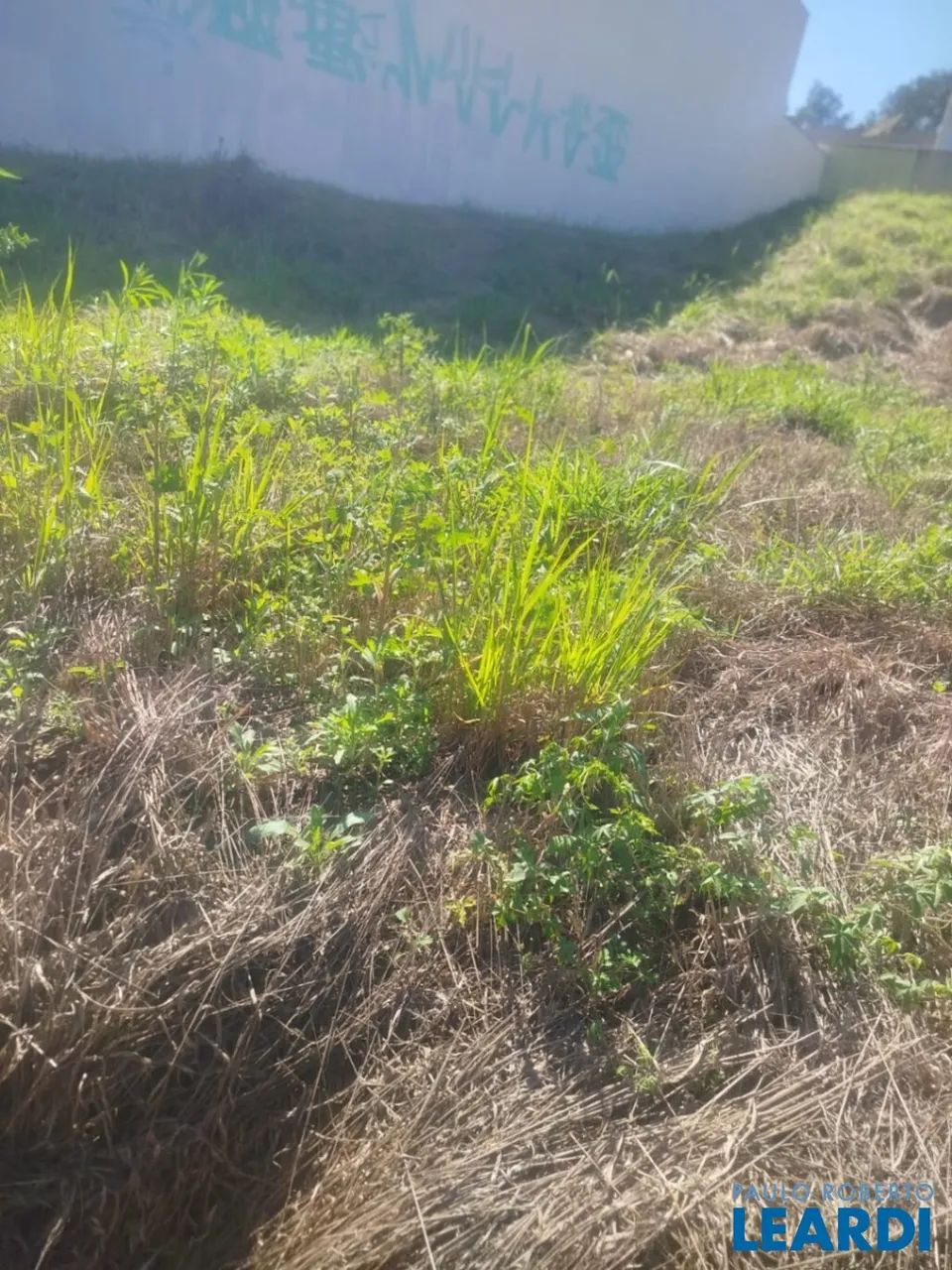 TERRENO - RESIDENCIAL SÃO LUIZ - SP - Foto 3