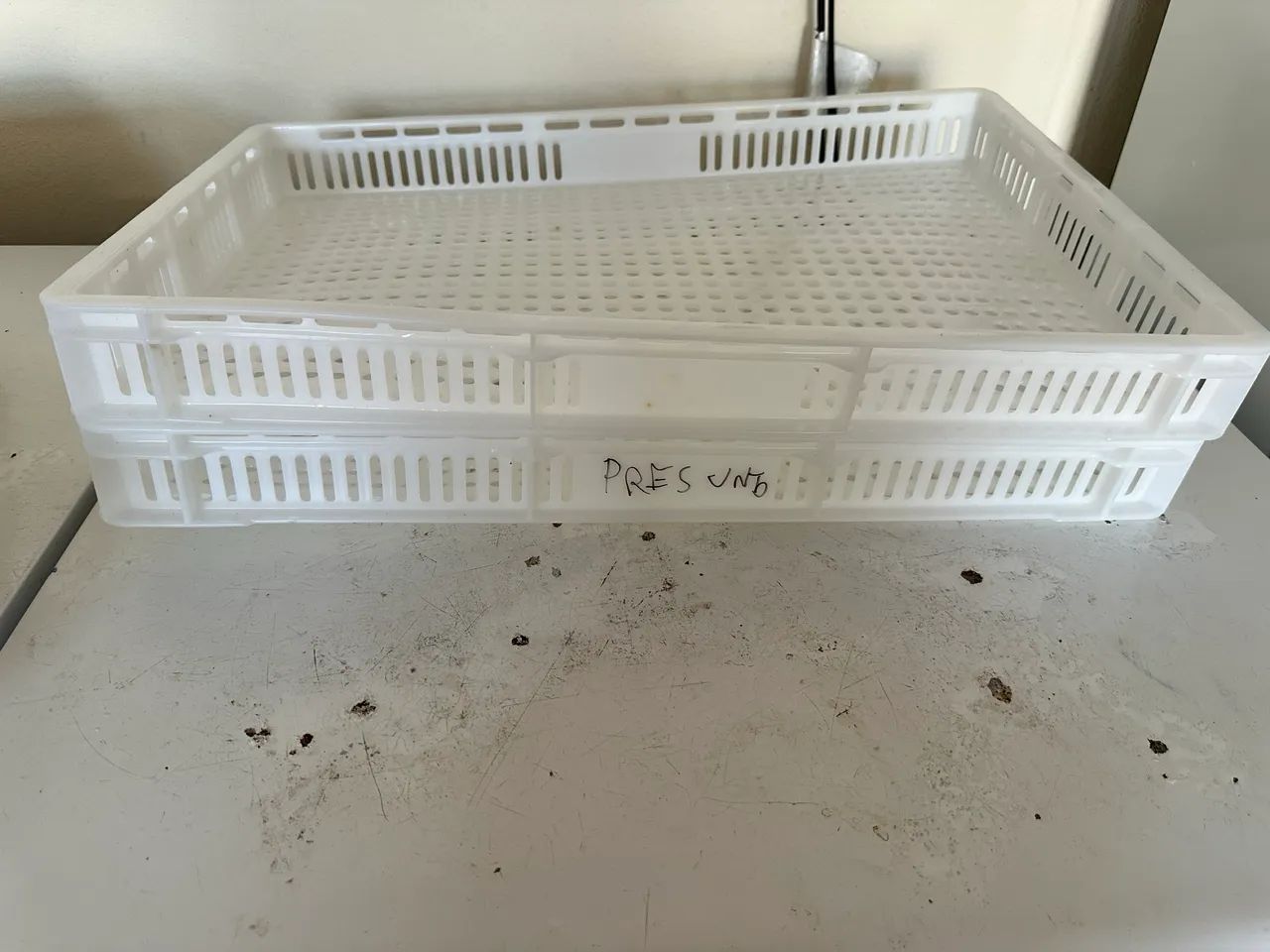 Bandeja para congelamento 