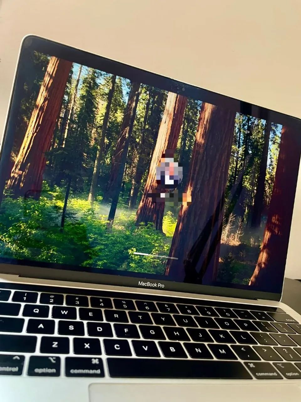 MecBook Pro 13