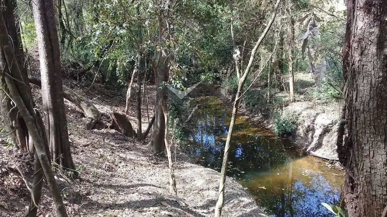 Sítio à venda, Saltinho, SP - Foto 3