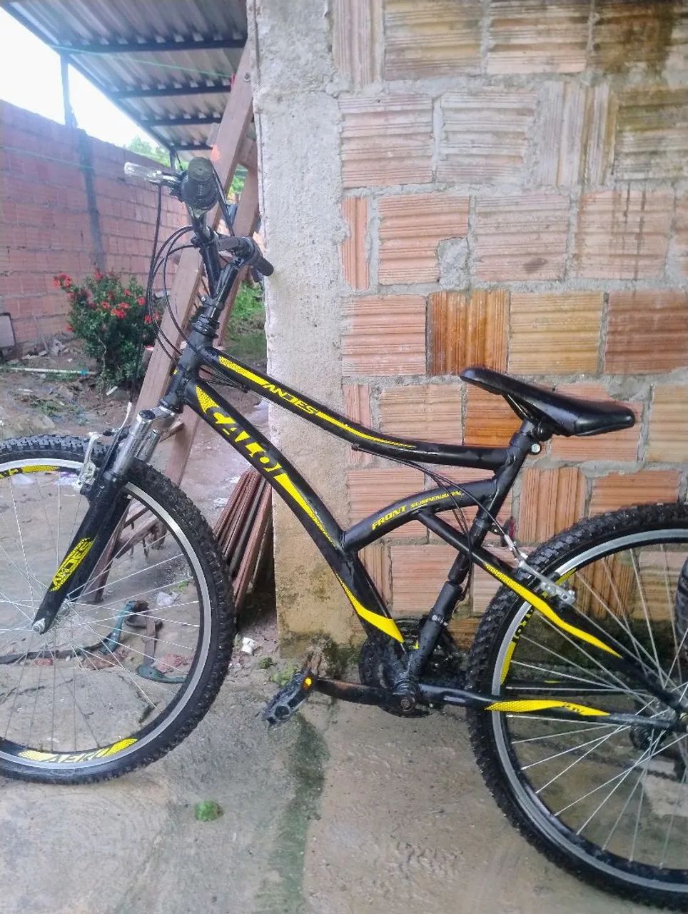 Bicicleta