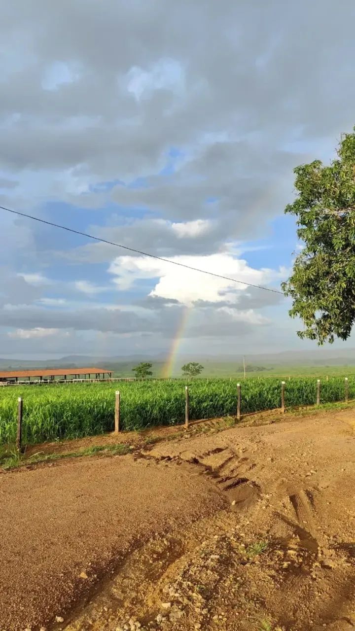Fazenda a venda, em Xinguara Pará!!! - Foto 5