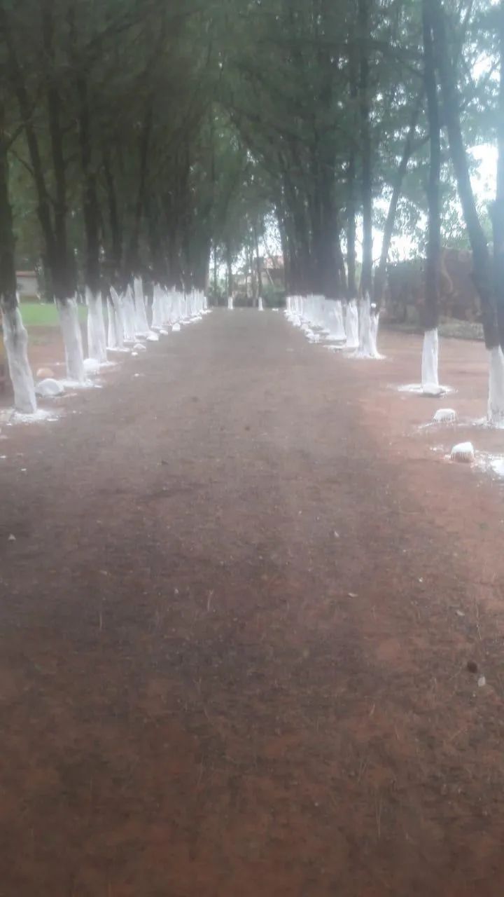ALUGUEL DE CHÁCARA TATUI  - Foto 3