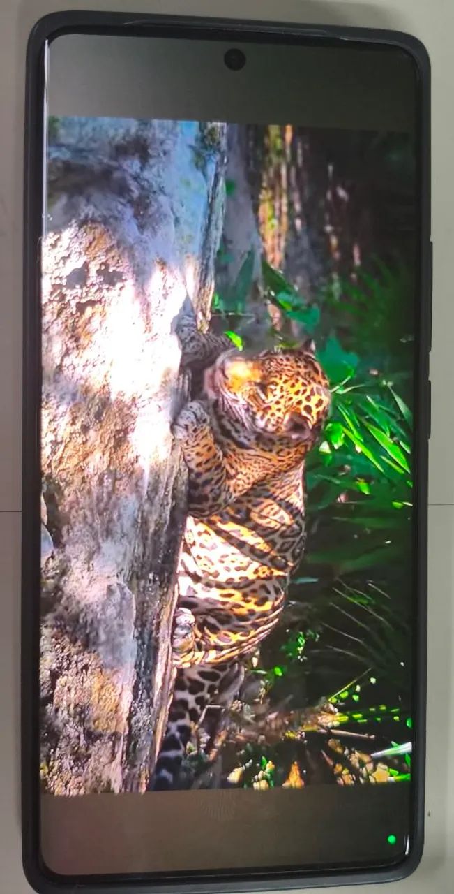 Xiaomi Redmi Note 14 Pro - Foto 5
