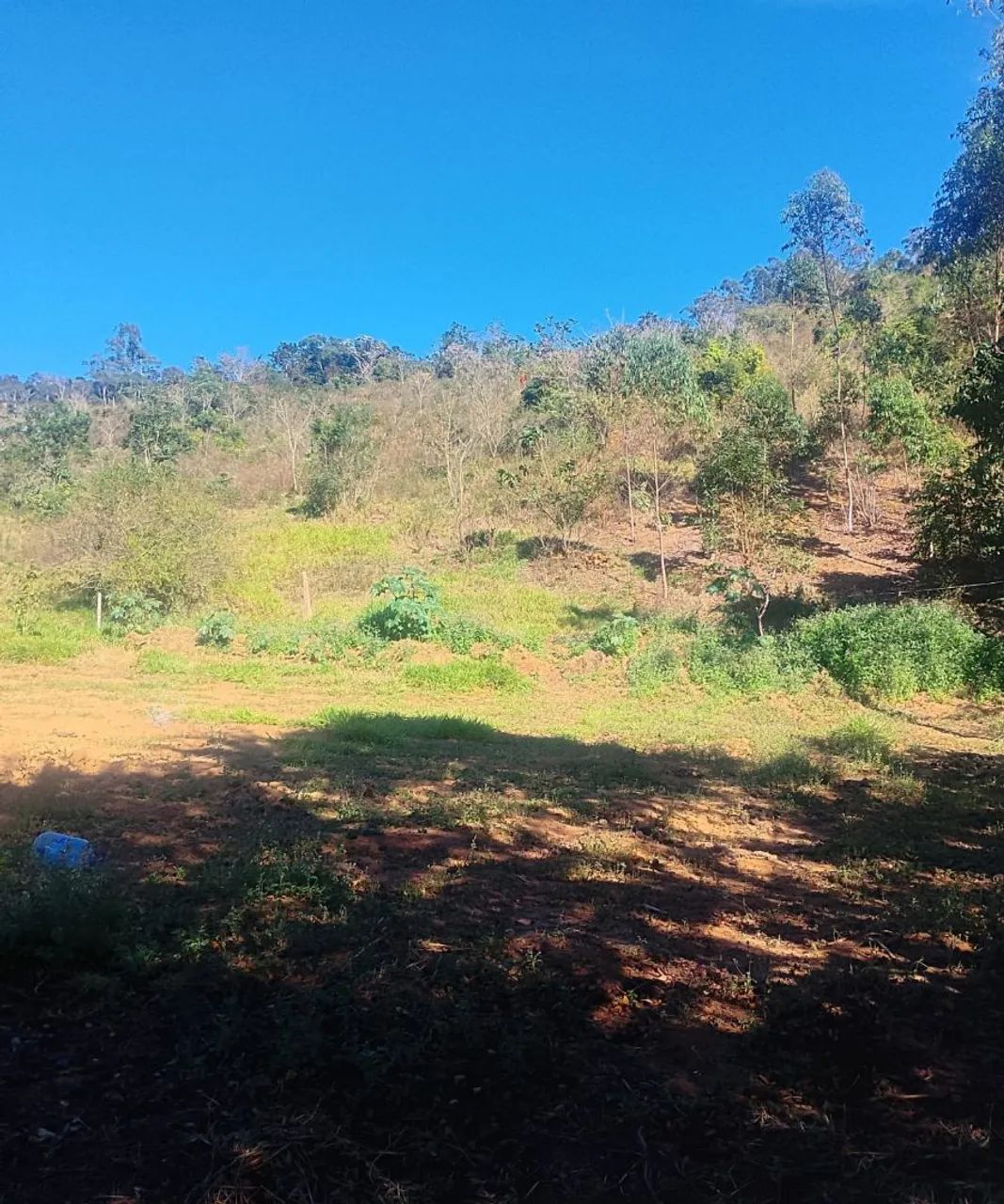 Vendo uma granja - Foto 2