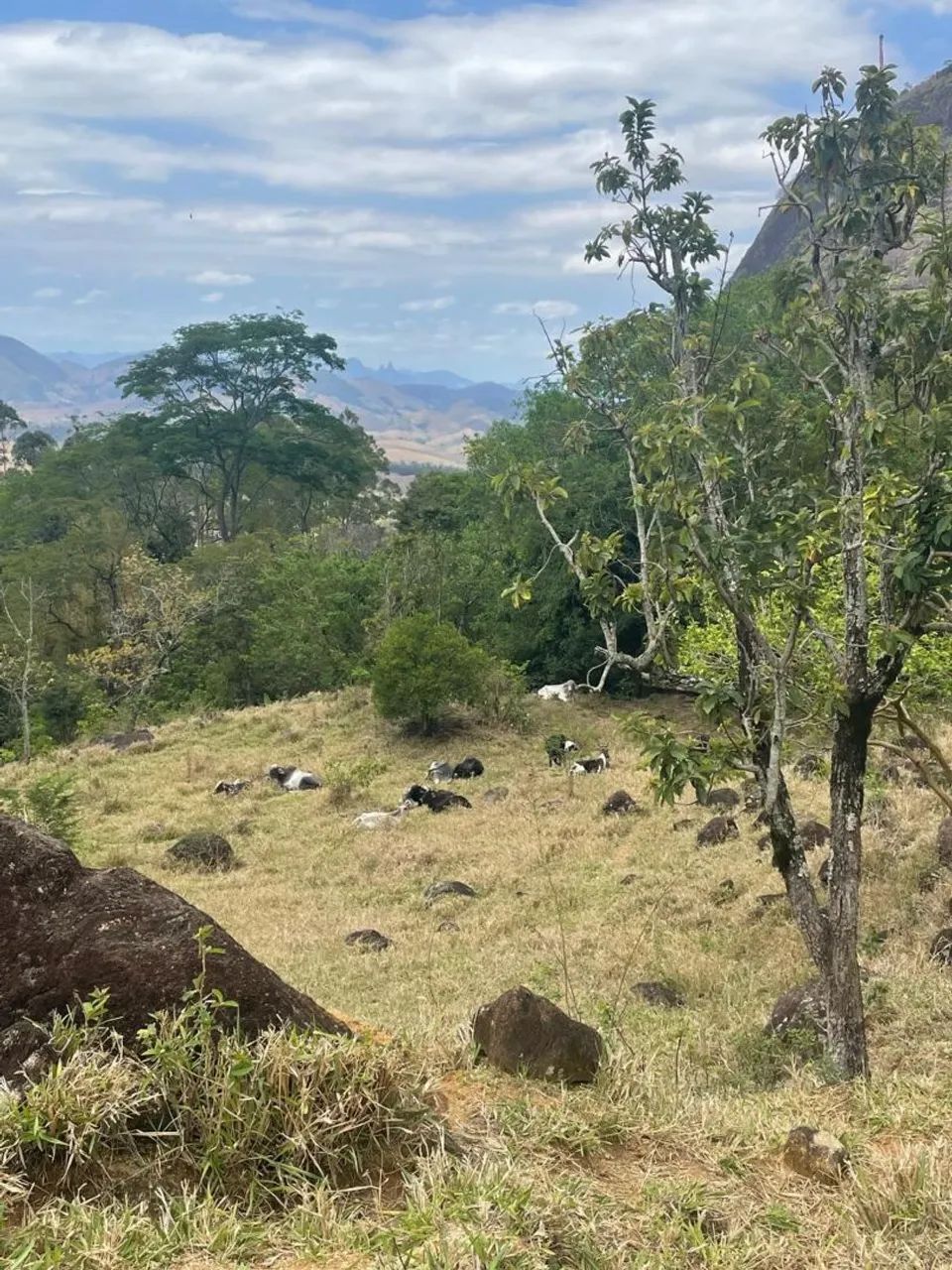 Sítio- Cachoeira  - Foto 5