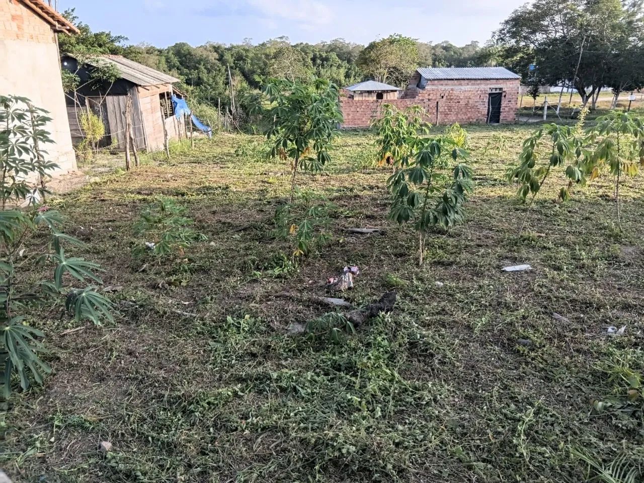 Terreno em Carutapera - Foto 2