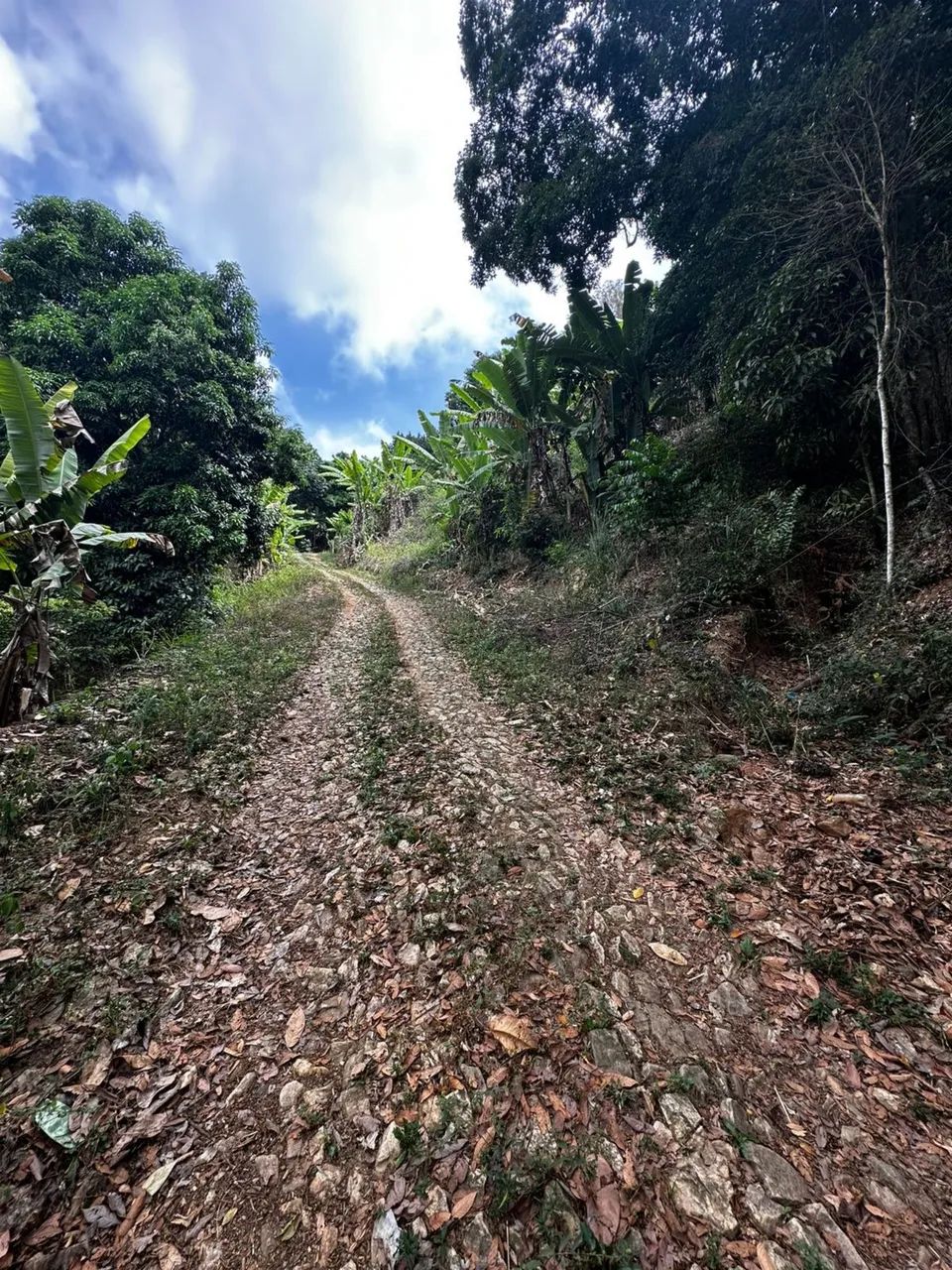 Terreno a venda - Sítio Guritiba, Mulungu-CE - Foto 4