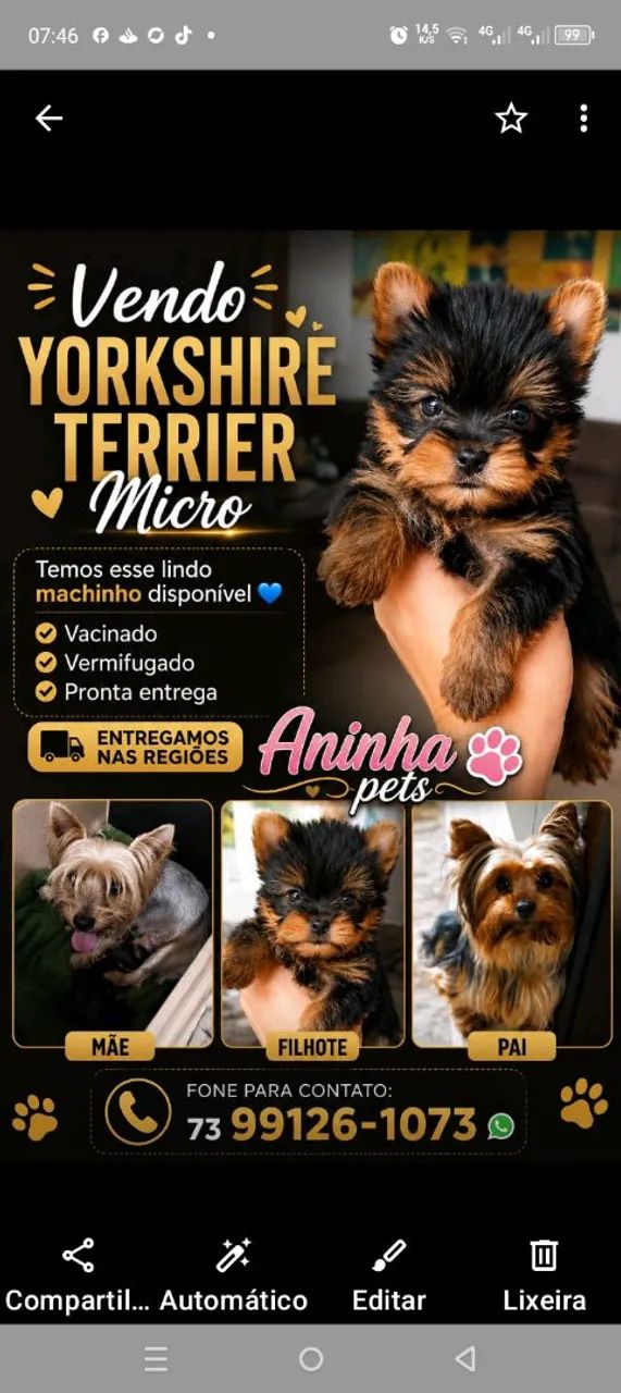 Vendo York shire micro 