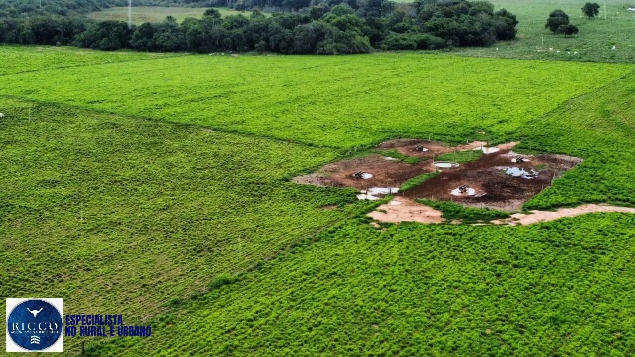 Fazenda de 504 Alqueires em Alvorada-TO! - Foto 3