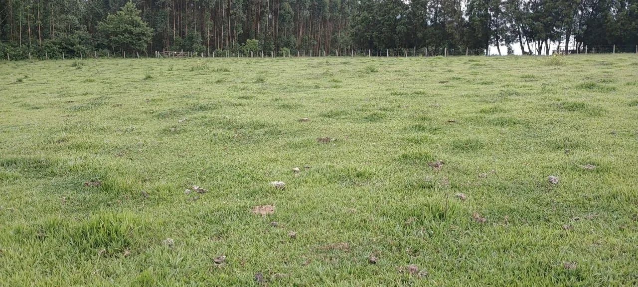 Terreno na cidade de Conchas