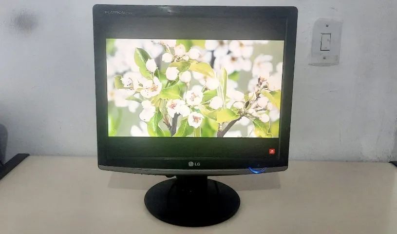 Monitor LG Flatron 17" Widescreen LCD W1752T