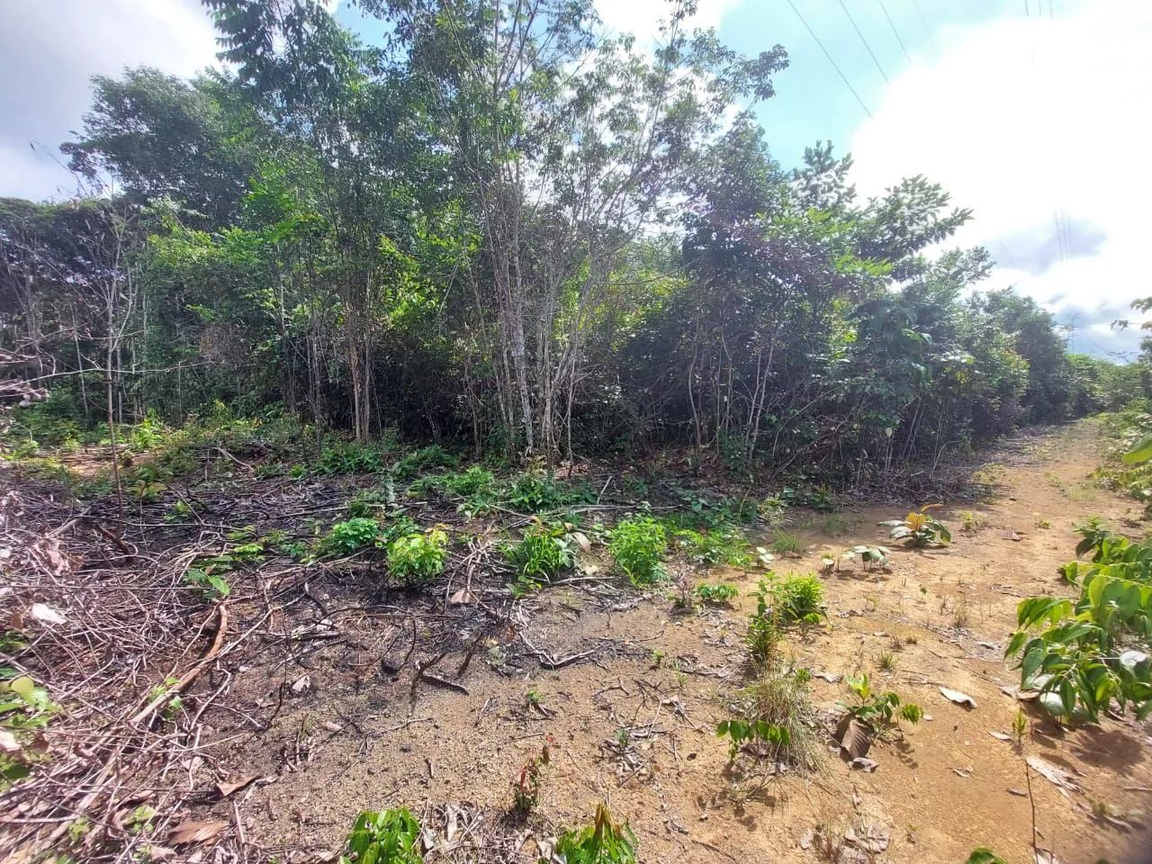 Terreno pros seus sonhos de uma chácara