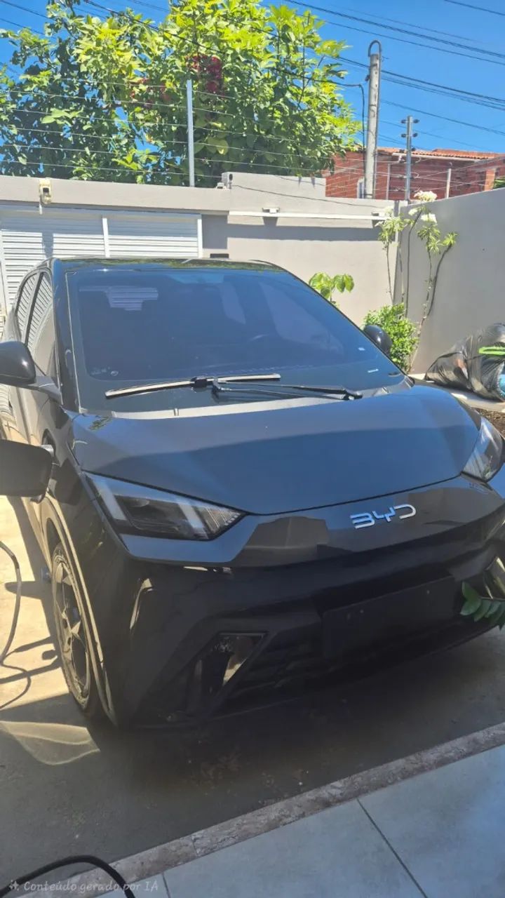 BYD Dolphin Mini (Elétrico) 2025