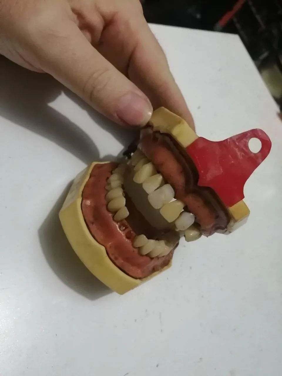 Prótese dentária antiga de estudo! - Foto 4